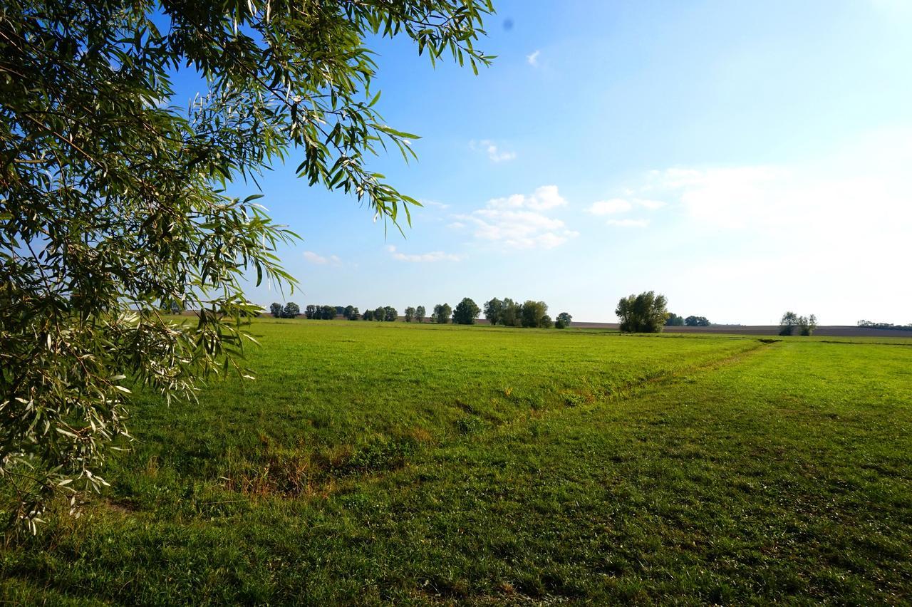 Gasthaus Zur Krone 温德尔斯巴赫 外观 照片